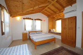 Koyevi