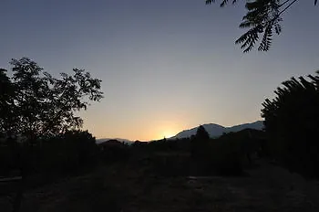 Koyevi 3*